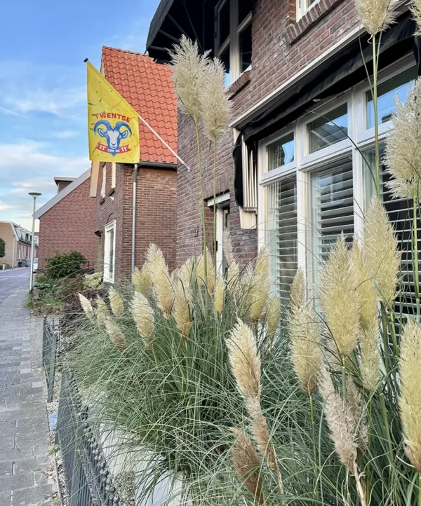 Vlag Twentse 11e van de 11e - Afbeelding 3